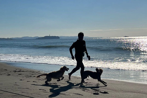 海と人と犬